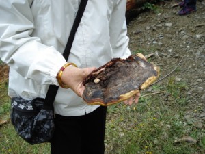 dsc09620
