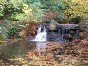 dscn05731