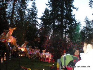 士丹利公园看灯饰