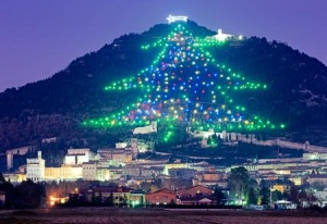 世界各地的圣诞树