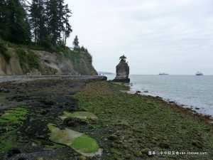 海角天涯，那里总有中中校友的身影。