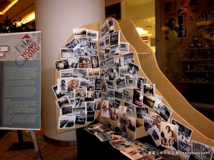 多项文化展览精彩亮相