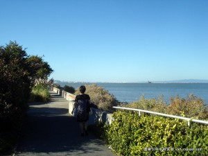 重回旧金山 漫步金山湾