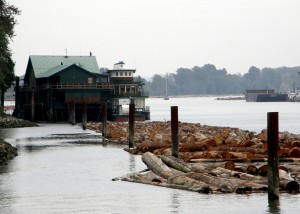 菲沙河谷 天人和谐