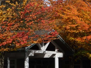 大温地区秋日拾趣