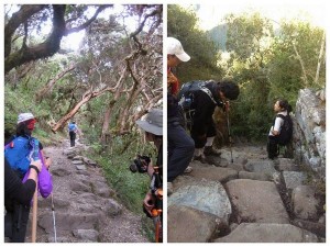 neoimage_e589afe69cac-2