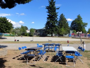 七月八月艳阳天